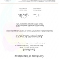 Powiększ obraz: certificate 15