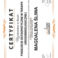 Powiększ obraz: certificate 3