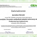 Powiększ obraz: certificate 18