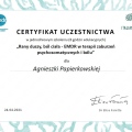 Powiększ obraz: certificate 10