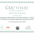 Powiększ obraz: certificate 8