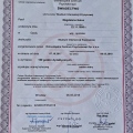 Powiększ obraz: certificate 3