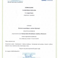 Powiększ obraz: certificate 19
