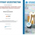 Powiększ obraz: certificate 31