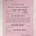 Powiększ obraz: certificate 6