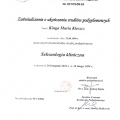 Powiększ obraz: certificate 1