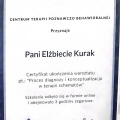 Powiększ obraz: certificate 13