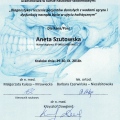 Powiększ obraz: certificate 2
