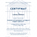 Powiększ obraz: certificate 382