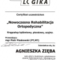 Powiększ obraz: certificate 5