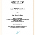 Powiększ obraz: certificate 1
