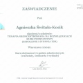 Powiększ obraz: certificate 1