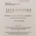 Powiększ obraz: certificate 2