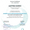 Powiększ obraz: certificate 10