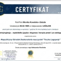 Powiększ obraz: certificate 11