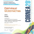 Powiększ obraz: certificate 18