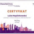 Powiększ obraz: certificate 3