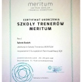Powiększ obraz: certificate 1