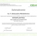 Powiększ obraz: certificate 4
