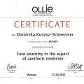 Powiększ obraz: certificate 4