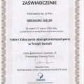 Powiększ obraz: certificate 18