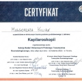 Powiększ obraz: certificate 3