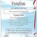 Powiększ obraz: certificate 4