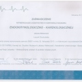 Powiększ obraz: certificate 6