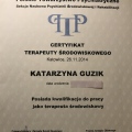 Powiększ obraz: certificate 1