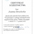 Powiększ obraz: certificate 11