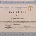 Powiększ obraz: certificate 3