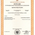 Powiększ obraz: certificate 9