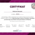 Powiększ obraz: certificate 1