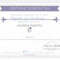 Powiększ obraz: certificate 4