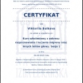 Powiększ obraz: certificate 2