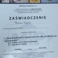 Powiększ obraz: certificate 11