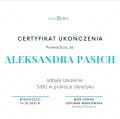 Powiększ obraz: certificate 1