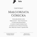 Powiększ obraz: certificate 1
