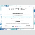 Powiększ obraz: certificate 4