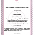 Powiększ obraz: certificate 3