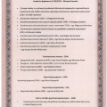 Powiększ obraz: certificate 3