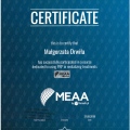Powiększ obraz: certificate 6