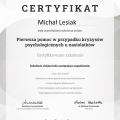 Powiększ obraz: certificate 54