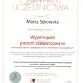 Powiększ obraz: certificate 10
