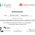 Powiększ obraz: certificate 5