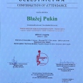 Powiększ obraz: certificate 13