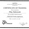 Powiększ obraz: certificate 8