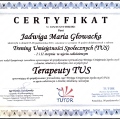 Powiększ obraz: certificate 1