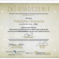 Powiększ obraz: certificate 11