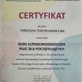 Powiększ obraz: certificate 1